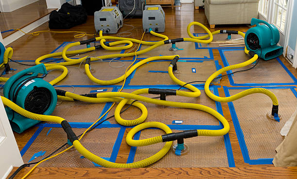 Professional Water Damage Repair technician working in Midway City, CA